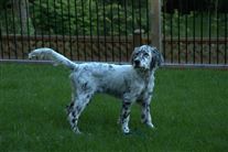 Click for large image