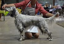 Click for large image