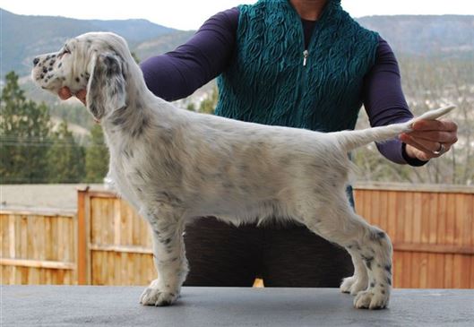 Click for large image