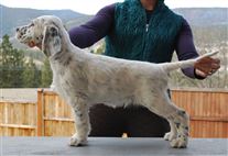 Click for large image