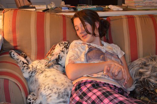 Click for large image