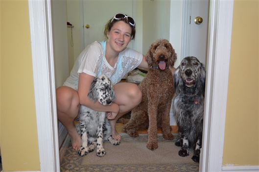 Click for large image