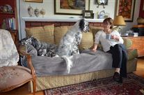 Click for large image