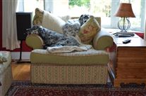 Click for large image