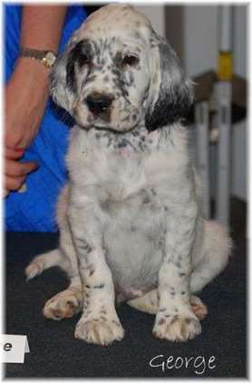 Click for large image