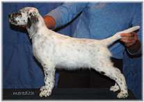 Click for large image