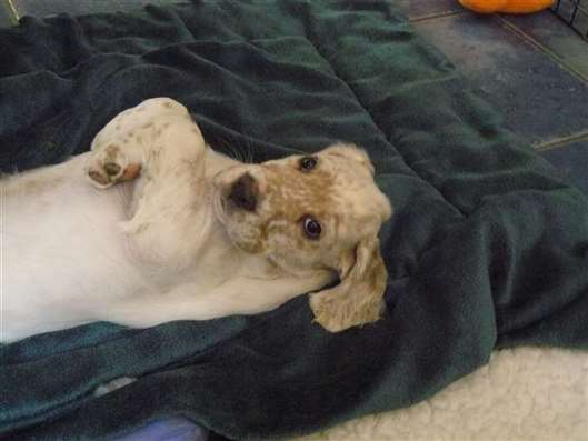 Click for large image