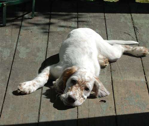 Click for large image