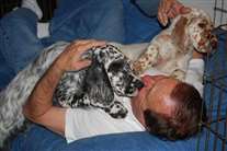 Click for large image