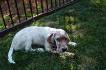 Click for large image