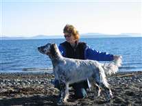 Click for large image