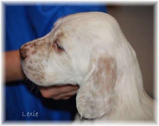 Click for large image