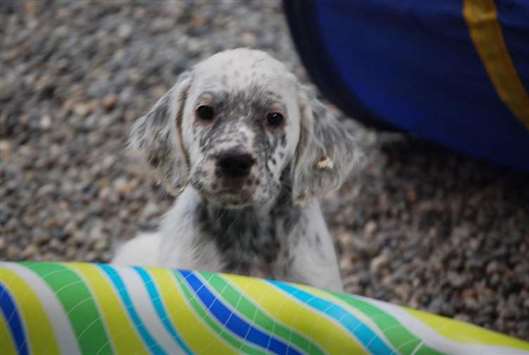 Click for large image