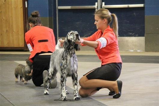 Click for large image