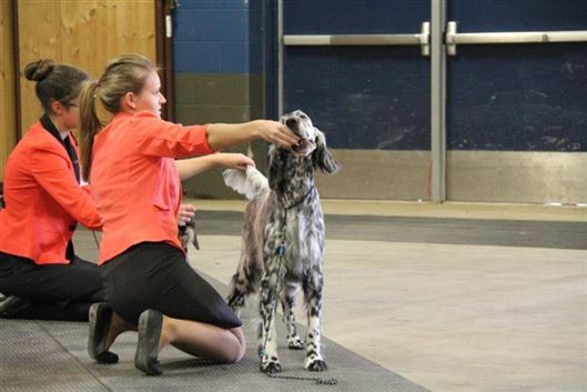 Click for large image