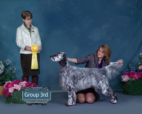 Click for large image