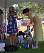 Click for large image